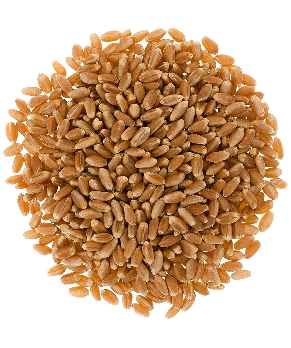 Hard Red Spring Wheat Berries | 25 LBS | Emergency Food Storage Bucket | Non-GMO | Grown on Our Family Farm | Bulk