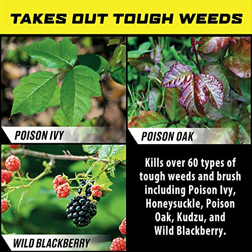 Ortho GroundClear Poison Ivy & Tough Brush Killer2 - Weed Killer Concentrate, 32 fl. oz.