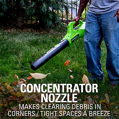 Greenworks 24V 12 inch String Trimmer, 2Ah USB Battery and Charger Included ST24B215
