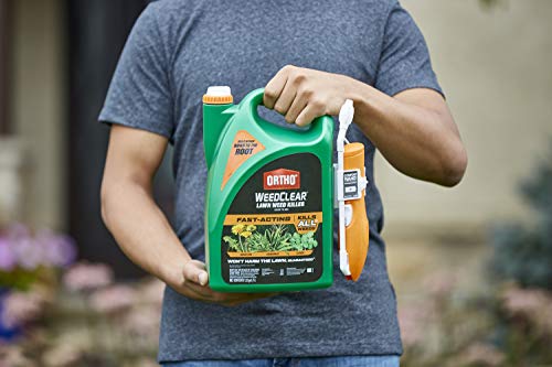Ortho WeedClear Lawn Weed Killer Ready to Use with Comfort Wand: For Northern Lawns, 1.33 gal.