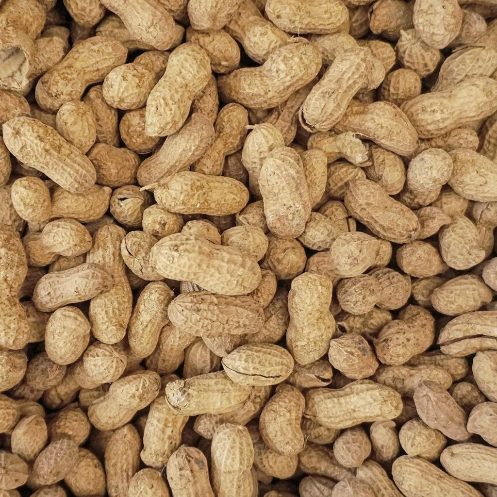 Wingfield Farm 25 Pound Virgin In Shell Raw Peanuts (Two 25lb Bag)