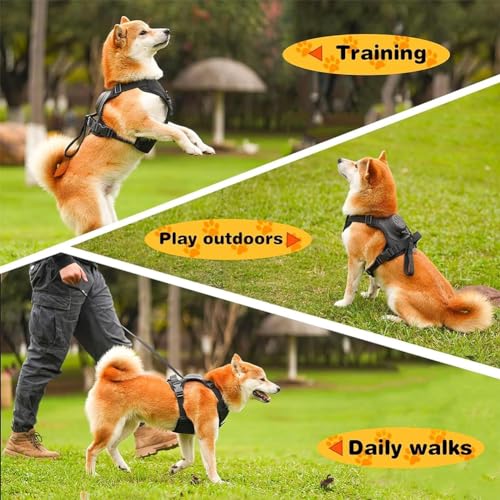 Poochbark 3 in 1 Dog Harness with Built-in Leash, Dog Harness with Retractable Leash, Adjustable Soft Padded Dog Vest, Auto-Lock & No-Pull Control, Dog Harness Medium Size Dog (Black, M)