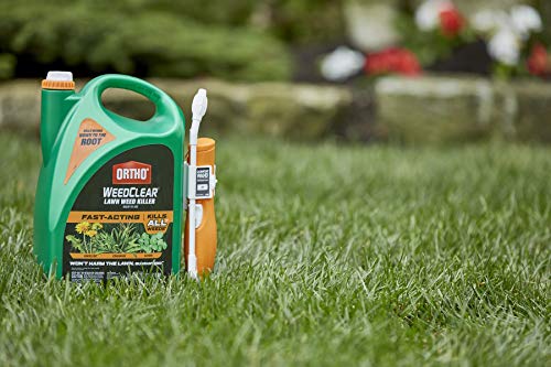 Ortho WeedClear Lawn Weed Killer Ready to Use with Comfort Wand: For Northern Lawns, 1.33 gal.