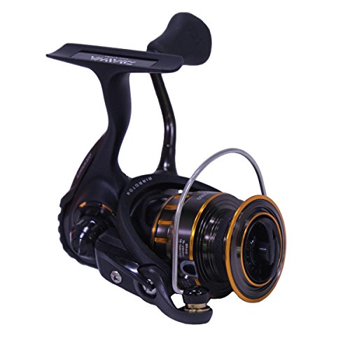 Daiwa BG Spinning Reel
