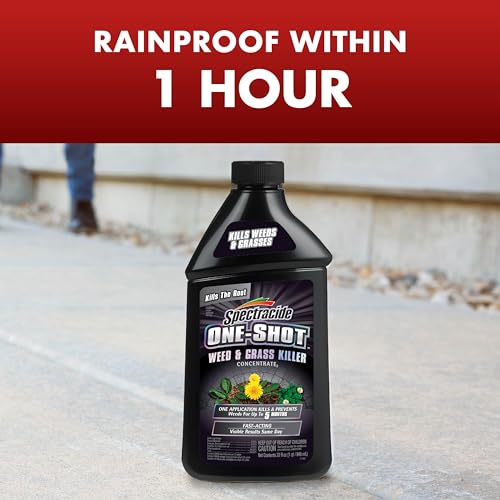 Spectracide One-Shot Weed & Grass Killer with AccuShot Sprayer, 1 Gallon, One Application Kills and Prevents Weeds for up to 5 Months