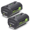 2 Packs 18V Battery Replacement for RYOBI 18V Battery PBP005 P197 P189 P108 P191 P190 P102 P103 P104 P105 P107 P122 Compatible for Ryobi 18V Tools, 6.0Ah