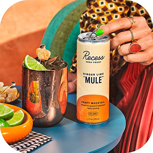 Recess Zero Proof Craft Mocktails, Alcohol Free Drinks, With Adaptogens, Non-Alcoholic Beverage Replacement, Mixer, Celebration, Party, (Watermelon "Mojito", 12oz, Pack of 12)
