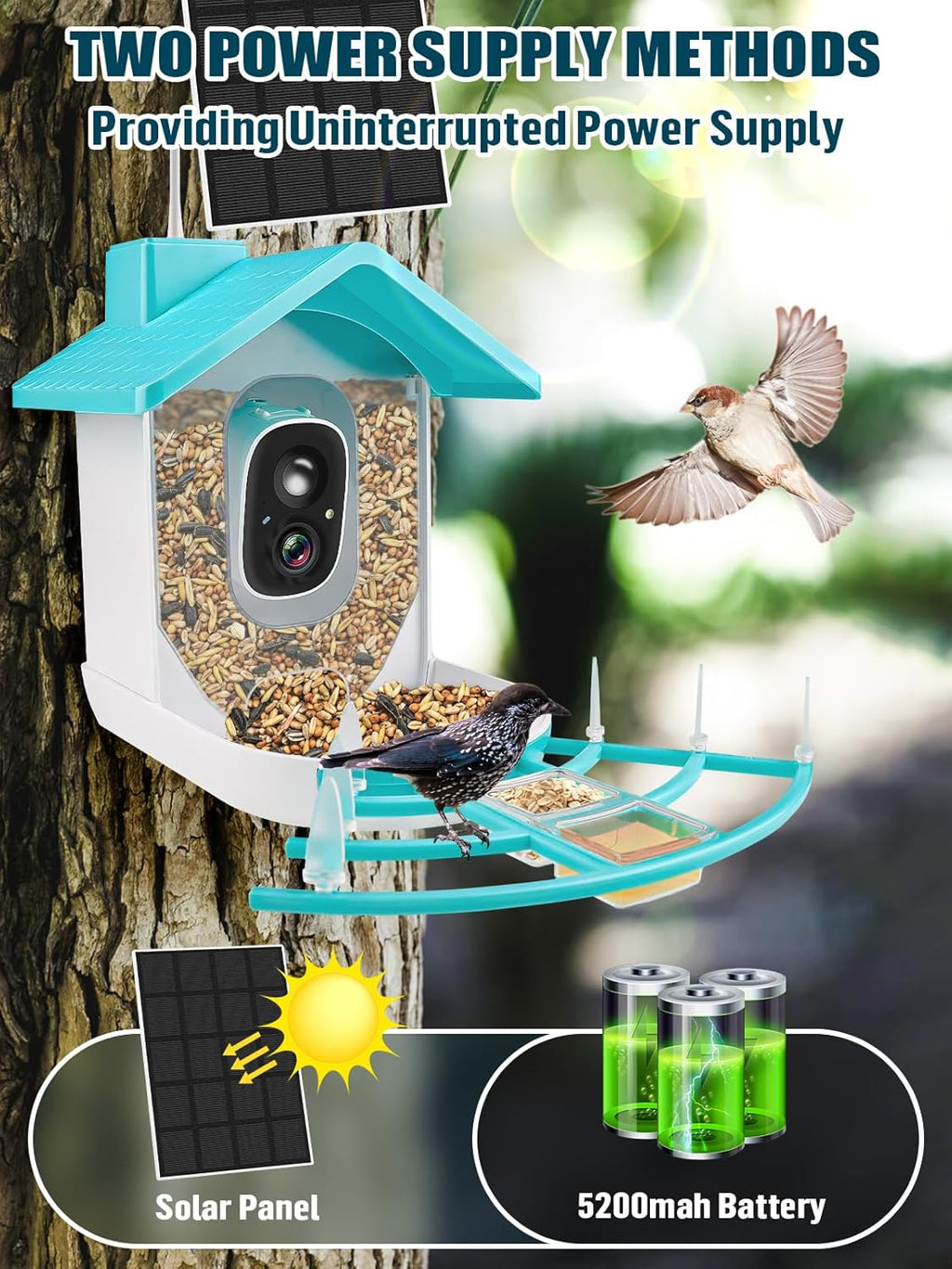 EBANKU Smart Bird Feeder with Camera, Solar Powered Dual Charge 1080P HD Video AI Identify 10000+Bird Species Bird Feeders for Outside, Bird Camera Gift for Bird Lover, Family, Friends