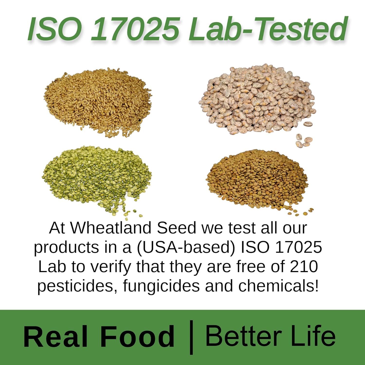 Wheatland™ Soft White Wheat Berries • 23 lbs • Delicious • Healthy Food Option • Farm Fresh • Mylar and Bucket Provide 25 Year Shelf Life • Emergency Food Storage • Non-GMO • Lab Tested Chemical-Free • Premium Baking Quality • Sproutable
