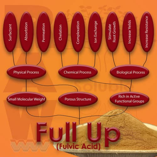 RAW Full UP 8oz - Premium Fulvic Acid Supplement for Enhanced Nutrient Absorption and Plant Vitality