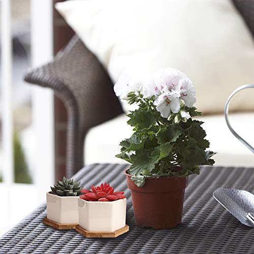 OAMCEG 6 Pack 4 Inch Succulent Pots - Small Succulent Planters, Set of 6 White Ceramic Succulent Cactus Plant Pots with Bamboo Tray(Plants NOT Included)