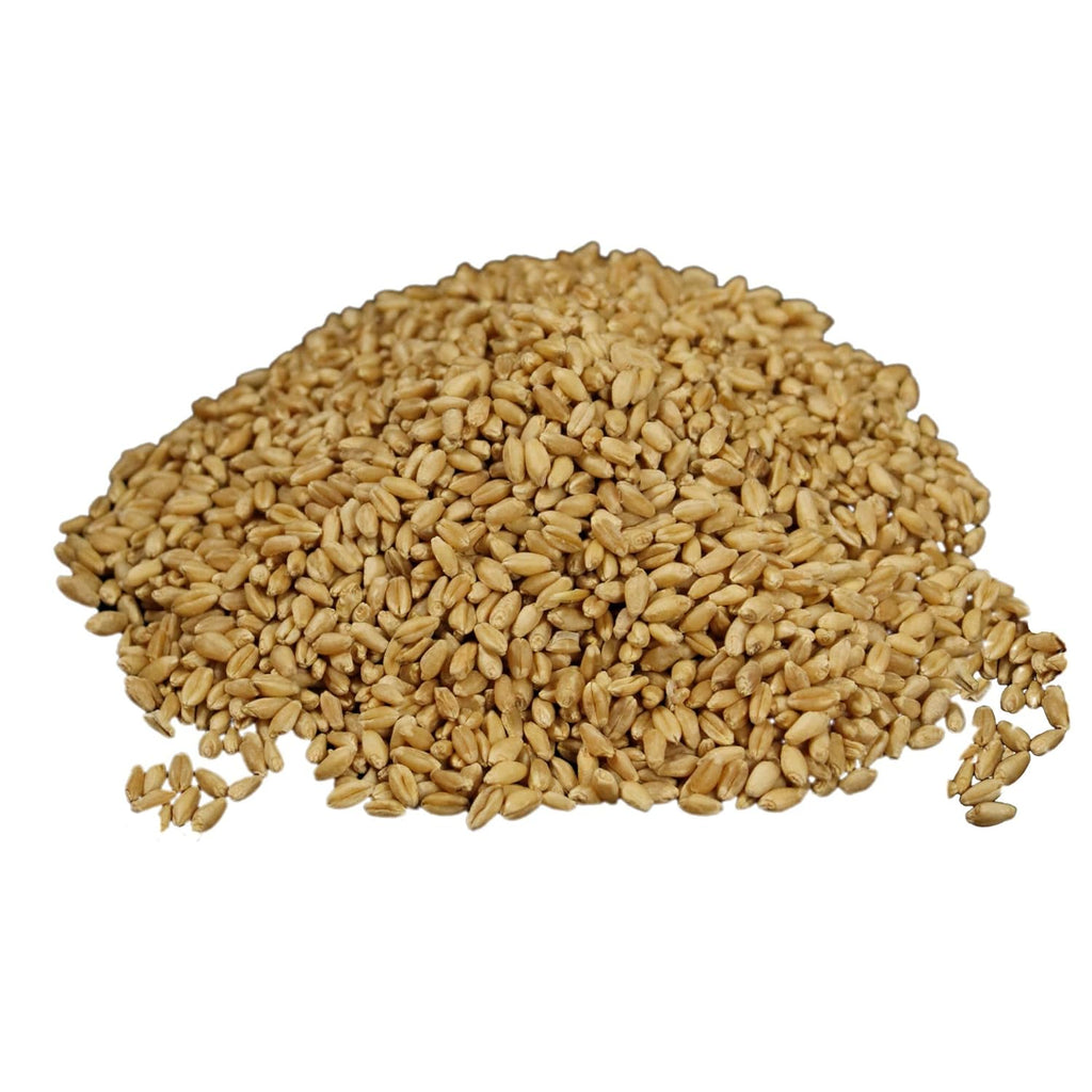 Wheatland™ Soft White Wheat Berries • 23 lbs • Delicious • Healthy Food Option • Farm Fresh • Mylar and Bucket Provide 25 Year Shelf Life • Emergency Food Storage • Non-GMO • Lab Tested Chemical-Free • Premium Baking Quality • Sproutable