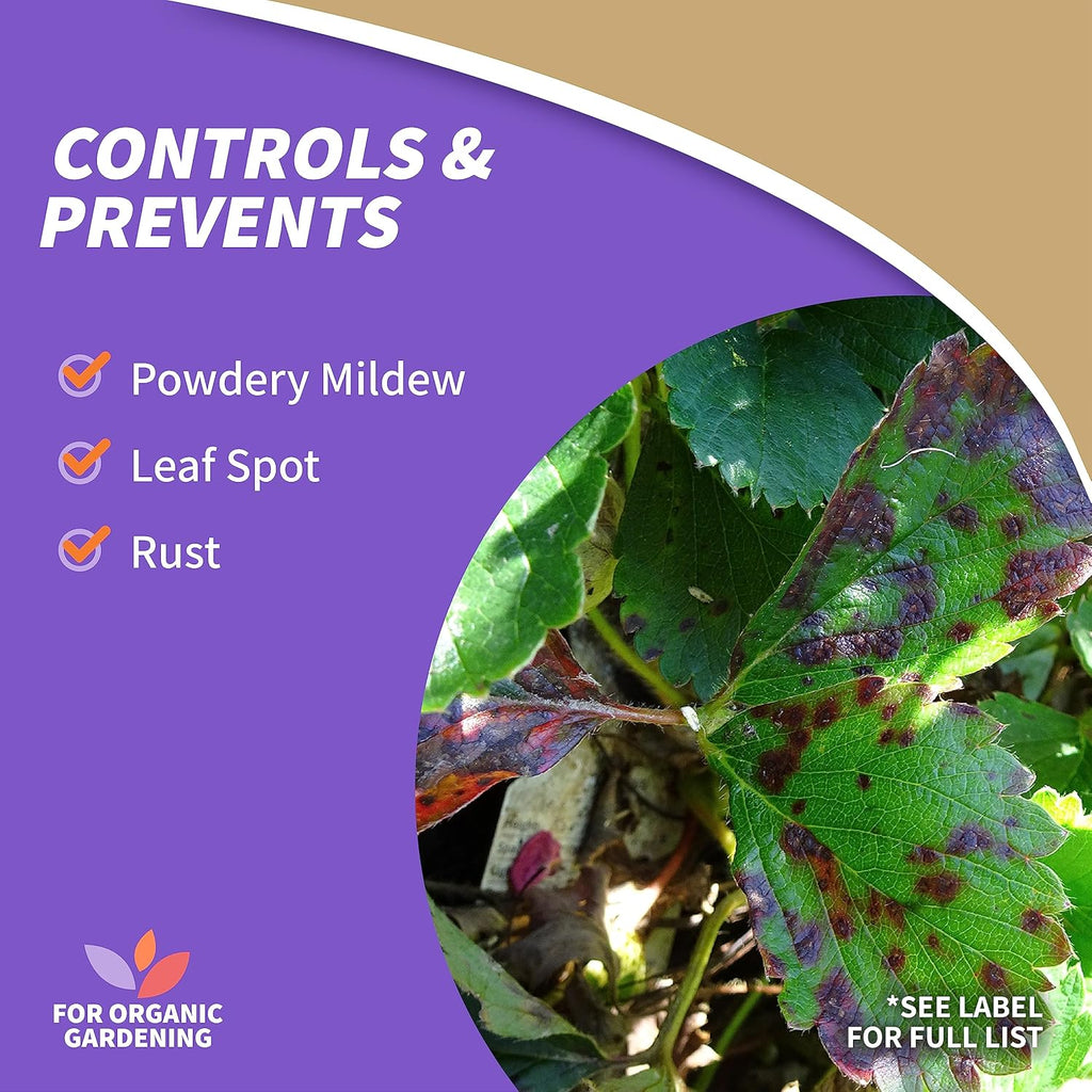Bonide Sulfur Plant Fungicide, 4 lb. Ready-to-Use Micronized Spray or Dust for Organic Gardening, Controls Common Diseases