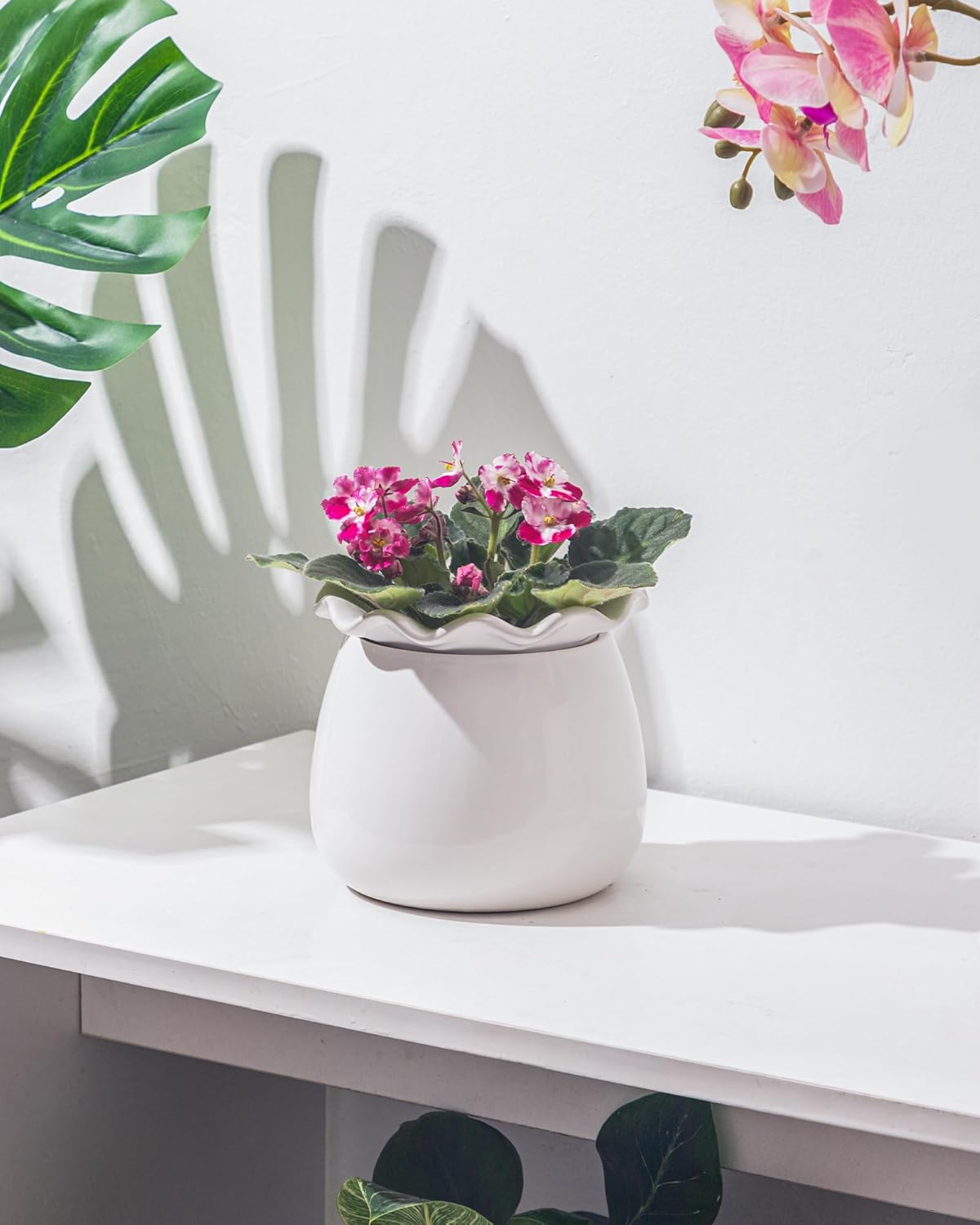 Self Watering Plant Pot, 6 Inch African Violet Pots Maintenance, Ceramic Self-Watering Planter for Indoor Plants - Ideal Flower Pot for Thriving Indoor Gardens