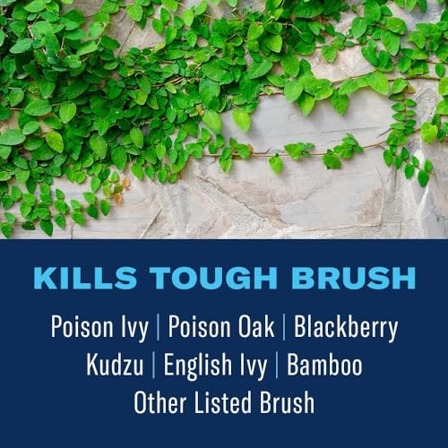 BioAdvanced Extended Control Brush Killer, Ready-to-Use 1.3 Gallon
