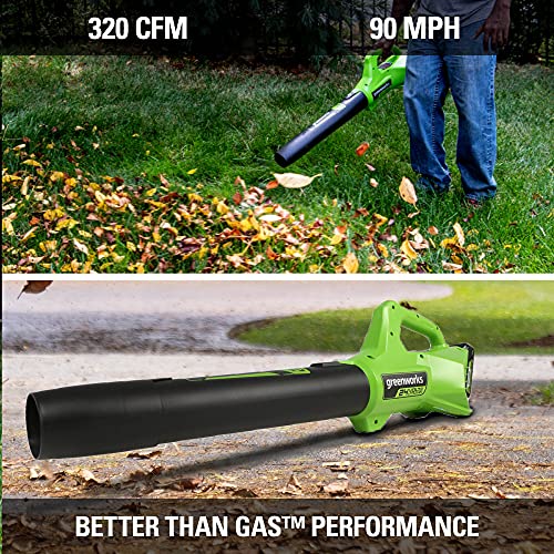 Greenworks 24V 12 inch String Trimmer, 2Ah USB Battery and Charger Included ST24B215