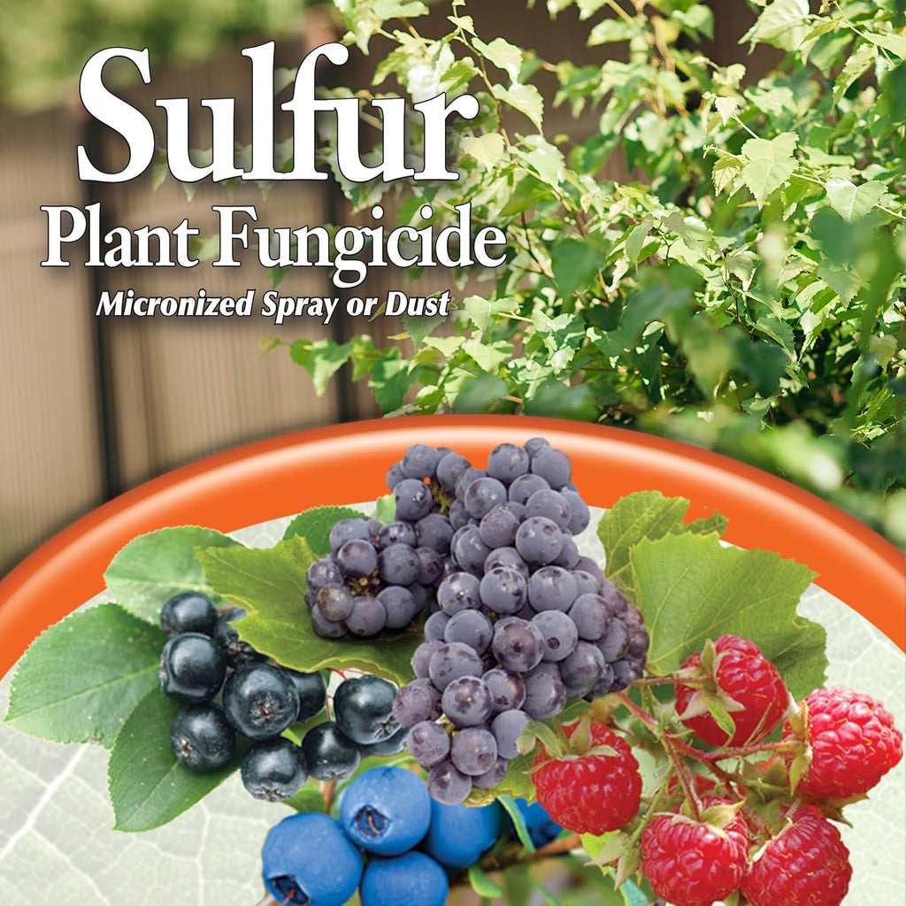 Bonide Sulfur Plant Fungicide, 4 lb. Ready-to-Use Micronized Spray or Dust for Organic Gardening, Controls Common Diseases