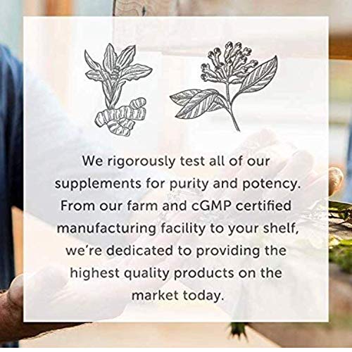Global Healing Vitamin B12 Sublingual 5000 mcg Organic Liquid Supplement, Methylcobalamin, Adenosylcobalamin, Hydroxo Long-Lasting Energy and Healthy Metabolism - Vegan B12 Vitamins (2 Oz)
