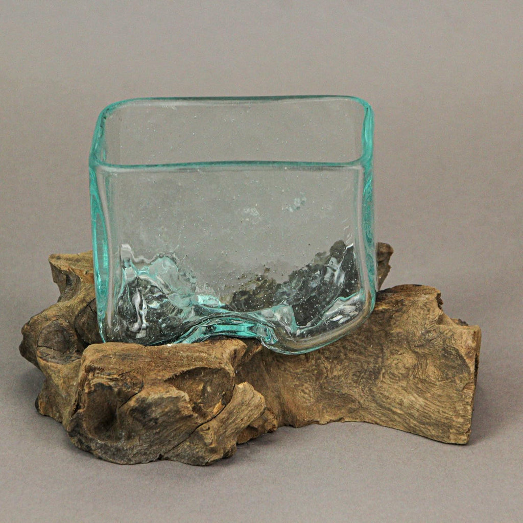 Rectangular Glass On Driftwood Decorative Bowl/Vase/Terrarium Succulent Planter Brown