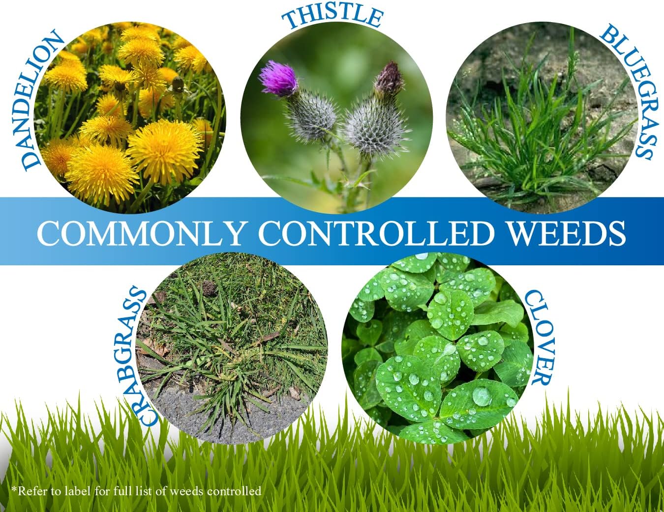 Mesotrione - 16 Ounces - (Compare to Tenacity) - Turf Herbicide