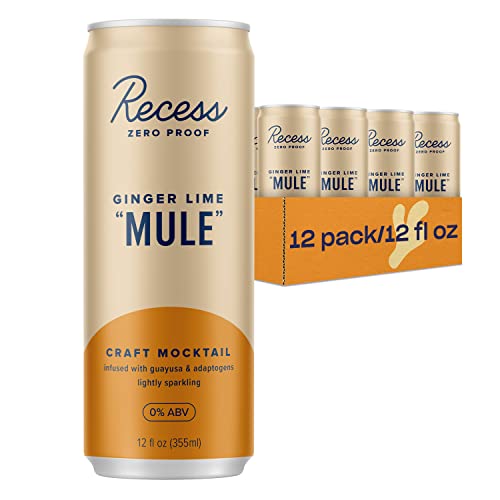 Recess Zero Proof Craft Mocktails, Alcohol Free Drinks, With Adaptogens, Non-Alcoholic Beverage Replacement, Mixer, Celebration, Party, (Watermelon "Mojito", 12oz, Pack of 12)