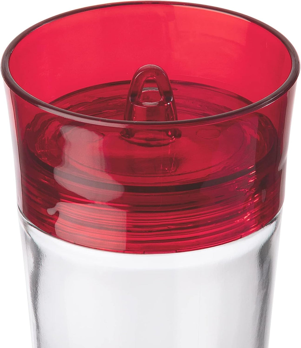 More Birds Bird Health+ Garnet Hummingbird Feeder, Glass Hummingbird Feeders for Outdoors, 5 Feeding Stations, 20 Ounces