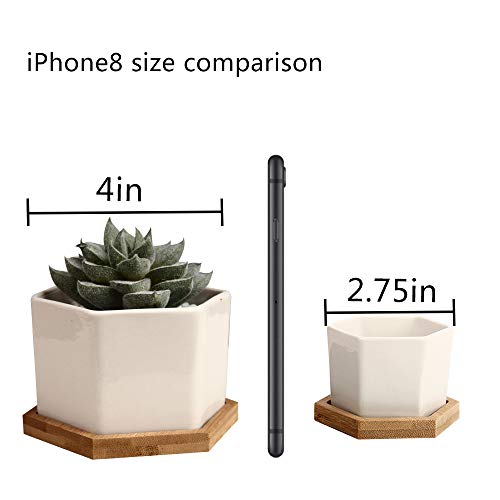 OAMCEG 6 Pack 4 Inch Succulent Pots - Small Succulent Planters, Set of 6 White Ceramic Succulent Cactus Plant Pots with Bamboo Tray(Plants NOT Included)