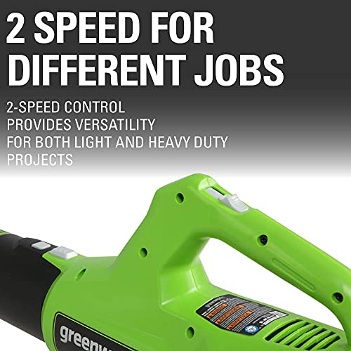 Greenworks 24V 12 inch String Trimmer, 2Ah USB Battery and Charger Included ST24B215