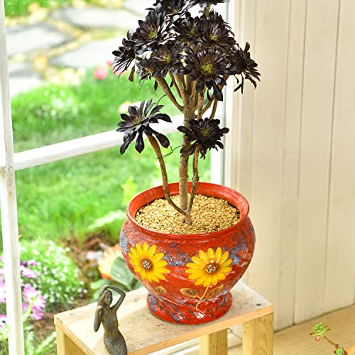 Sungmor Ceramic Planter Pot with Drainage Hole, Indoor Outdoor Large Succulent Flower pot, 9 Inch Hand Painted Clay Plant Pot, Decorative Ceramic Planter Container