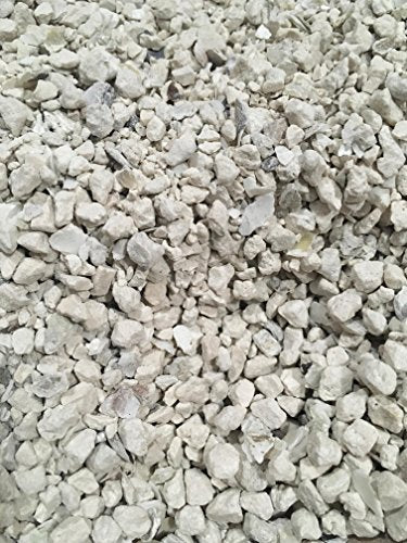 Natural Crushed Oyster Shell with Calcium (2 lb)