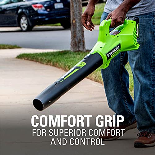 Greenworks 24V 12 inch String Trimmer, 2Ah USB Battery and Charger Included ST24B215