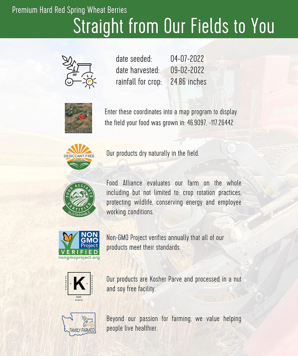 Hard Red Spring Wheat Berries | 25 LBS | Emergency Food Storage Bucket | Non-GMO | Grown on Our Family Farm | Bulk