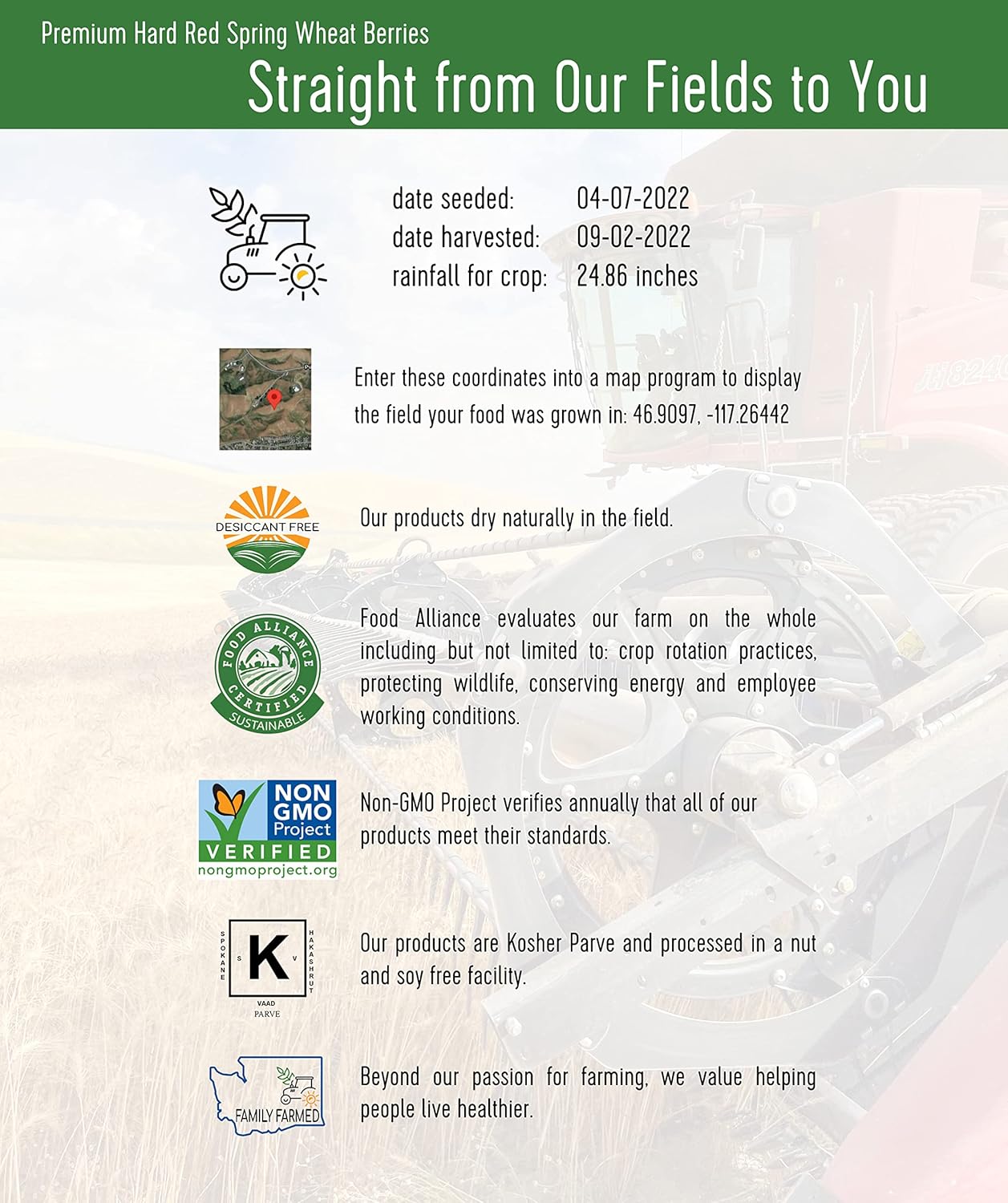 Hard Red Spring Wheat Berries | 25 LBS | Emergency Food Storage Bucket | Non-GMO | Grown on Our Family Farm | Bulk