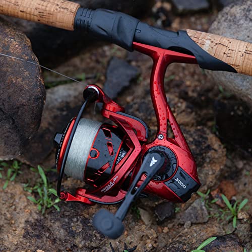 KastKing Royale Legend Glory Fishing Reel - 6.2:1 Gear Ratio Spinning Reel, Up to 22 Lbs of Carbon Drag, 7+1 Stainless Steel Ball Bearings, Graphite Frame, Asymmetric Spinning Reel Rotor Design
