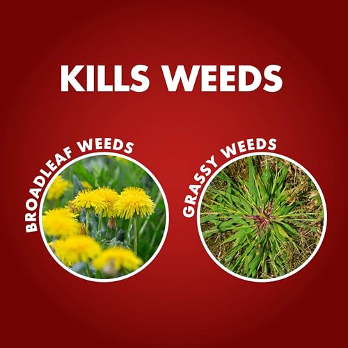 Spectracide One-Shot Weed & Grass Killer with AccuShot Sprayer, 1 Gallon, One Application Kills and Prevents Weeds for up to 5 Months