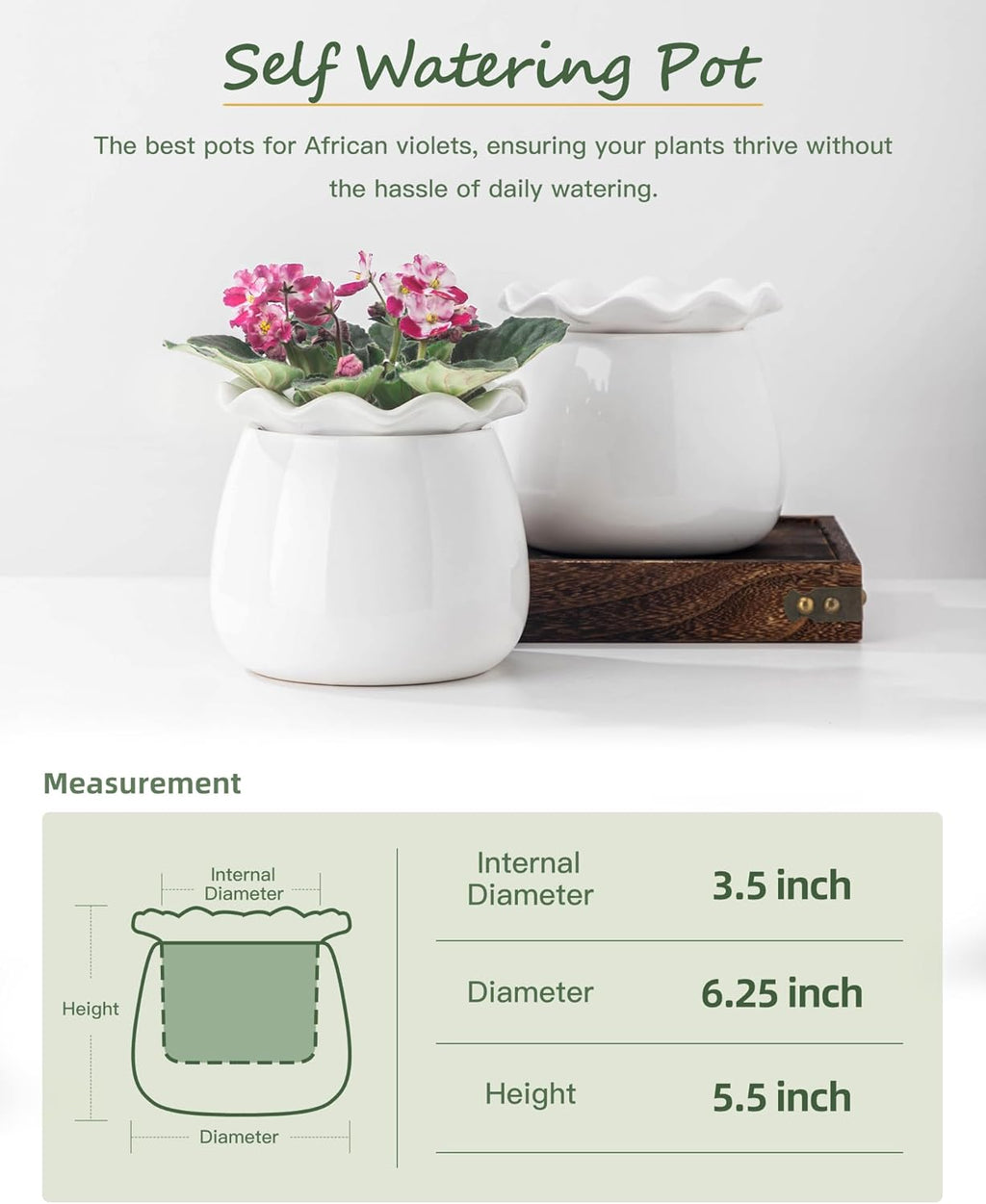 Self Watering Plant Pot, 6 Inch African Violet Pots Maintenance, Ceramic Self-Watering Planter for Indoor Plants - Ideal Flower Pot for Thriving Indoor Gardens