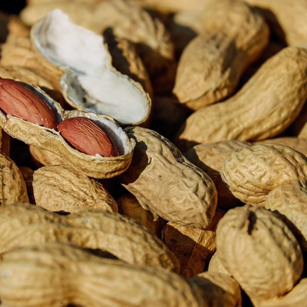 Amish Eco-Farm | Bulk Raw Peanuts in Shell, Virginia Grown by Hamptons Farms | Great for boiling, Squirrels feed, Birds feed and Wildlife. (25 lb box)