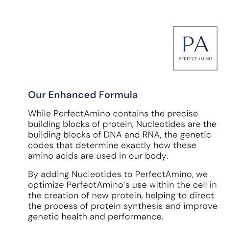 BodyHealth PerfectAmino Powder - BCAA and EAA Powder for Pre and Post Workout - Amino Acid Energy Drink Powder for Men and Women to Support Lean Muscle and Recovery - Vanilla - 30 Servings