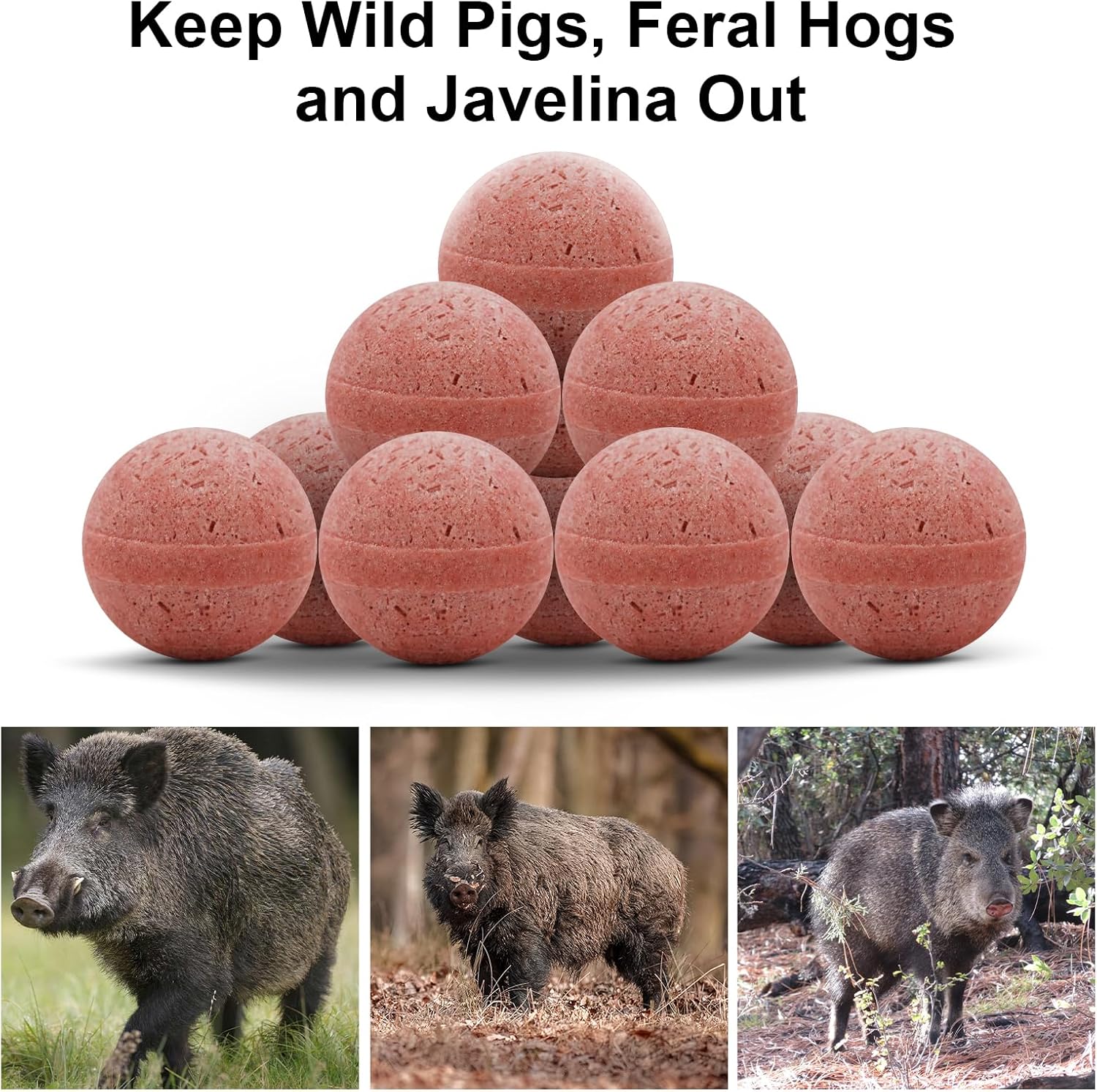 10 Pack Wild Hog Scram All Natural Wild Pigs, Feral Hogs and Javelina Repellent for farm, garden, yard, lawn, backyard, trees.