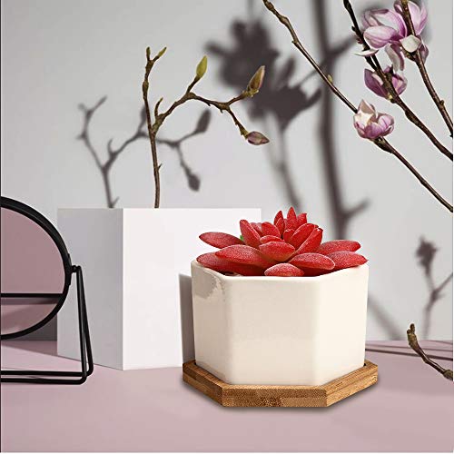 OAMCEG 6 Pack 4 Inch Succulent Pots - Small Succulent Planters, Set of 6 White Ceramic Succulent Cactus Plant Pots with Bamboo Tray(Plants NOT Included)