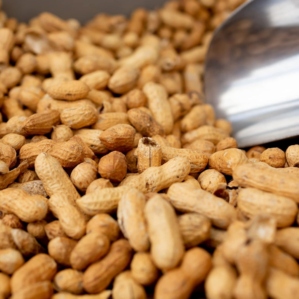 Amish Eco-Farm | Bulk Raw Peanuts in Shell, Virginia Grown by Hamptons Farms | Great for boiling, Squirrels feed, Birds feed and Wildlife. (25 lb box)