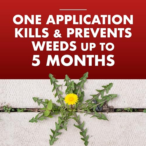 Spectracide One-Shot Weed & Grass Killer with AccuShot Sprayer, 1 Gallon, One Application Kills and Prevents Weeds for up to 5 Months