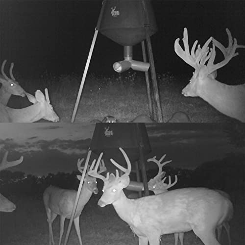 BOSS BUCK Protein 3 Way Gravity Head