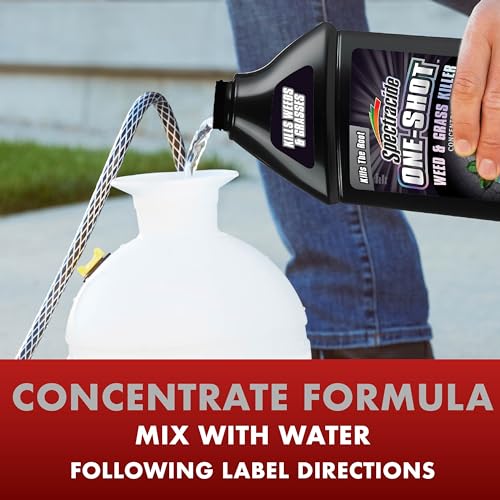 Spectracide One-Shot Weed & Grass Killer with AccuShot Sprayer, 1 Gallon, One Application Kills and Prevents Weeds for up to 5 Months
