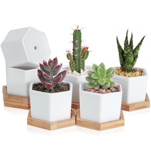 OAMCEG 6 Pack 4 Inch Succulent Pots - Small Succulent Planters, Set of 6 White Ceramic Succulent Cactus Plant Pots with Bamboo Tray(Plants NOT Included)