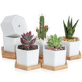 OAMCEG 6 Pack 4 Inch Succulent Pots - Small Succulent Planters, Set of 6 White Ceramic Succulent Cactus Plant Pots with Bamboo Tray(Plants NOT Included)