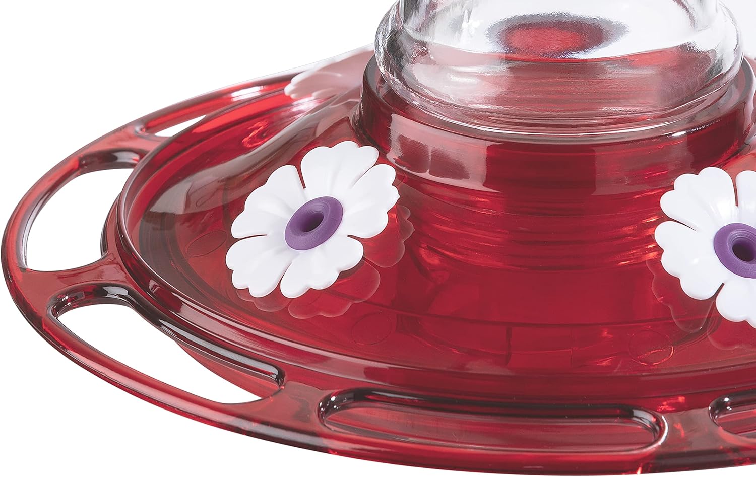 More Birds Bird Health+ Garnet Hummingbird Feeder, Glass Hummingbird Feeders for Outdoors, 5 Feeding Stations, 20 Ounces