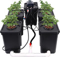 RDWC Hydroponics Grow System 4 Site + Reservoir, 7-Gallon Top Drip Recirculating Deep Water Culture Hydroponic Bucket System, Hydroponics Growing System Kit with Water Pump, Air Pump