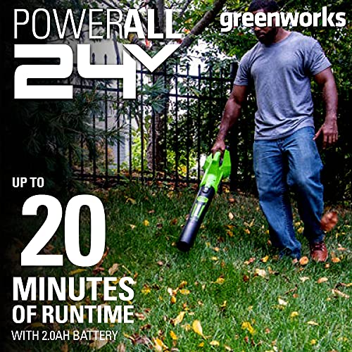 Greenworks 24V 12 inch String Trimmer, 2Ah USB Battery and Charger Included ST24B215