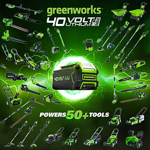 Greenworks 40V 12" TORQDRIVE™ String Trimmer, 2Ah USB Battery and Charger Included ST40B212